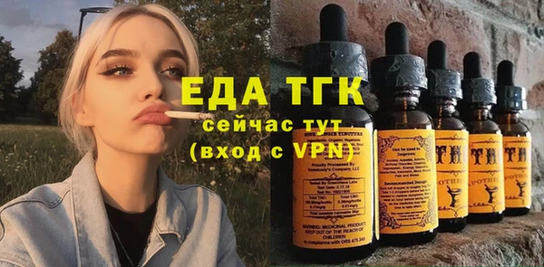 крисы Богородицк