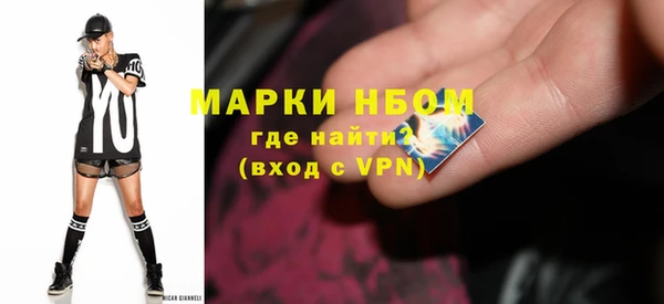 крисы Богородицк