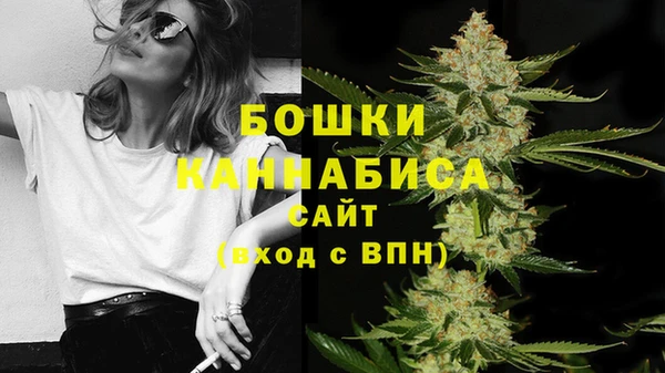 дмт Богородск