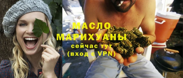 крисы Богородицк