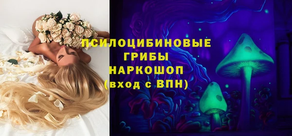 крисы Богородицк