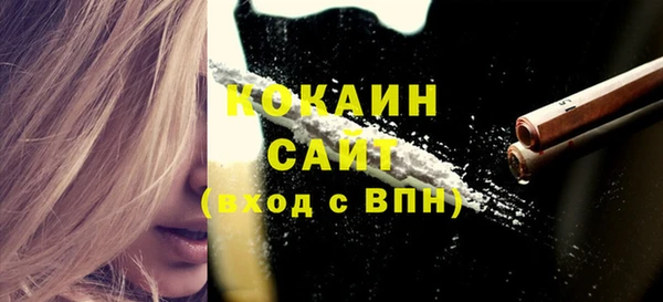 спайс Богданович